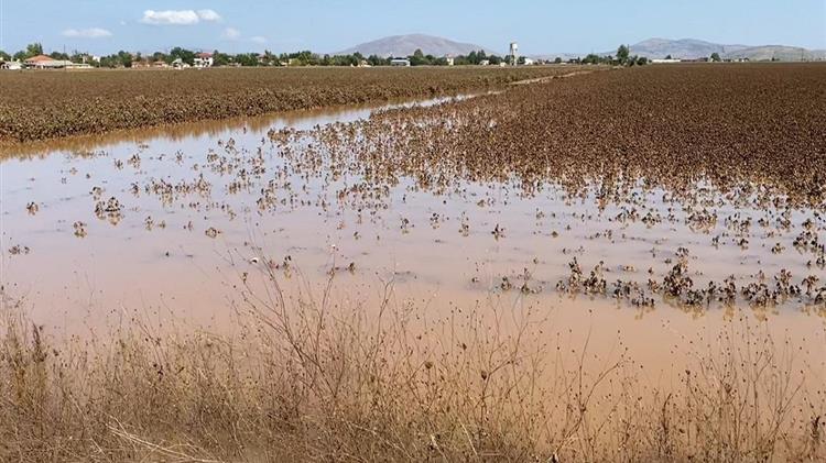 ΣΥΡΙΖΑ Λάρισας κατά Περιφέρειας Θεσσαλίας για τις καταστροφές από τον «Ιανό»