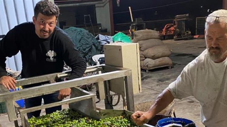 Olive Harvest, Olive Oil Creation Persist in Greek Lockdown