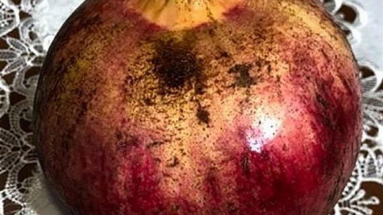 «Φρενίτιδα» για το γούρικο ρόδι – Ξεπούλησαν οι παραγωγοί