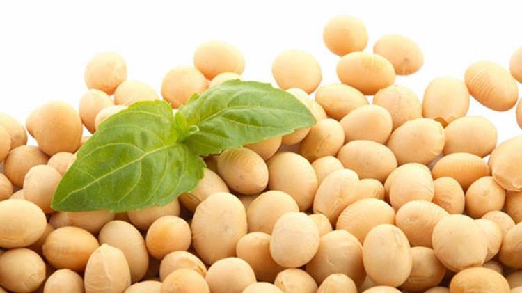 ΗΠΑ-Κίνα: Το διμερές εμπόριο σόγιας, αχτίδα αισιοδοξίας για τα bulkers