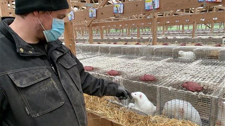 "Μην βάλει η κυβέρνηση τις επιχειρήσεις πάνω από τις ανθρώπινες ζωές και τα δικαιώματα των ζώων"