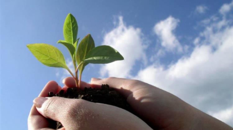 Κέντρο Αειφορίας: Την αναγκαιότητα της βιώσιμης ανάπτυξης για την επιβίωση των επιχειρήσεων