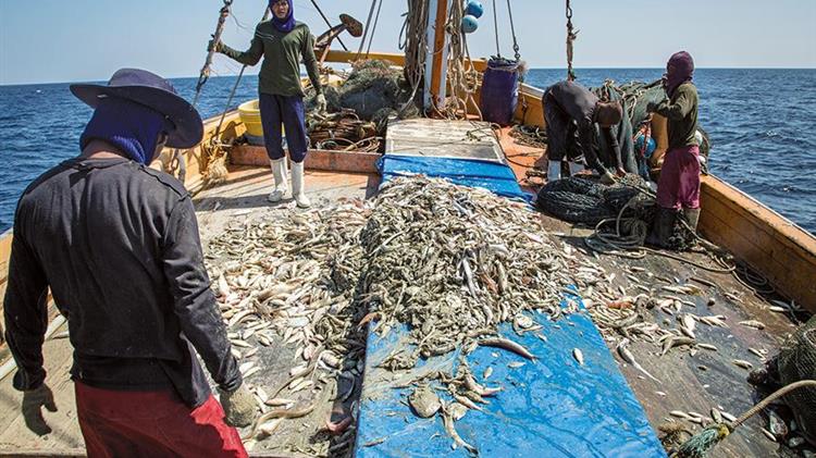 Mediterranean and Black Sea fisheries are turning the corner on overexploitation