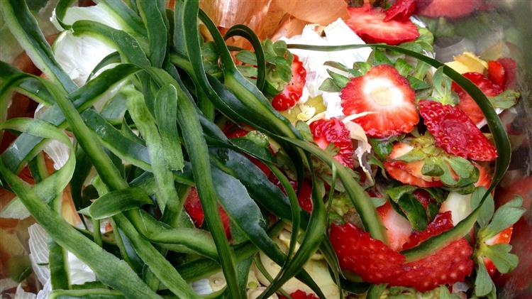 Από οικιακά απόβλητα τροφίμων, νέα προϊόντα?