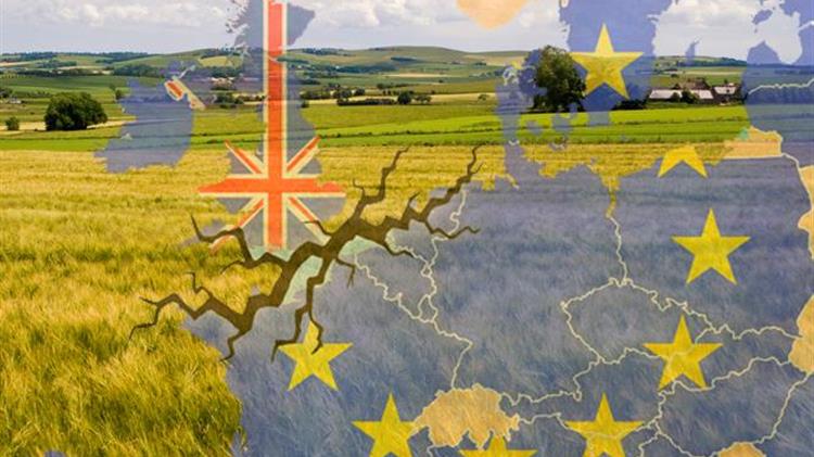 Brexit outrage as New Zealand farmers will have to go through less red tape to sell lamb