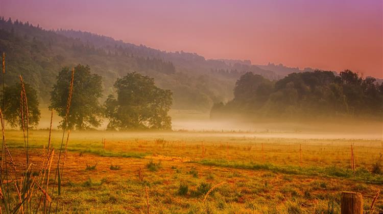 Το ΑΚΚΕΛ επιβεβαιώθηκε ότι είναι μεθοδευμένη και κατευθυνόμενη η καταστροφή του πρωτογενούς τομέα διατροφής