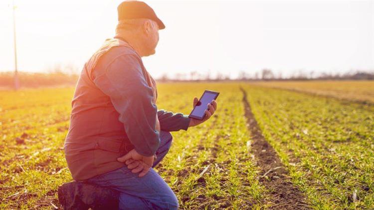 STELAR KLMS: Τεχνητή νοημοσύνη στο χωράφι