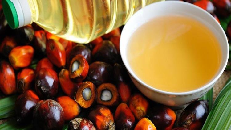 POLITICO: Δυναμικό comeback για το φοινικέλαιο λόγω Ουκρανίας; Οι ανησυχίες των περιβαλλοντολόγων