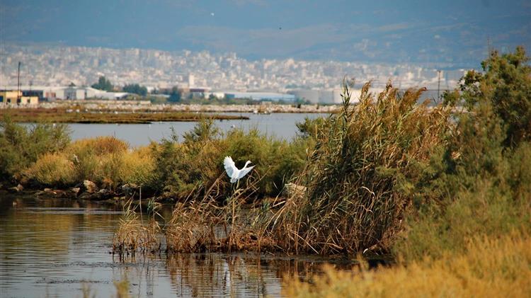 Μελέτες για την αντιπλημμυρική θωράκιση του Γαλλικού ποταμού