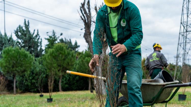 ΑΠΘ: Φαινολογικός κήπος για την παρακολούθηση της κλιματικής αλλαγής στο εργοστάσιο του ΤΙΤΑΝΑ