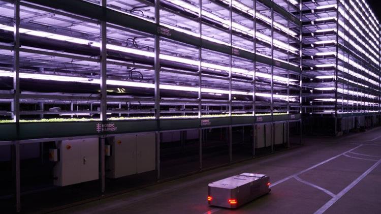 Μια startup στη Δανία αποκαλύπτει ένα τεράστιο κάθετο αγρόκτημα