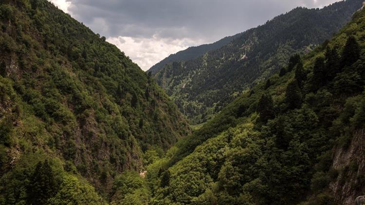 ΠΝΠ για απαγόρευση μετακίνησης σε δάση, εθνικούς δρυμούς και περιοχές Natura σε ισχύ μέχρι τη Δευτέρα