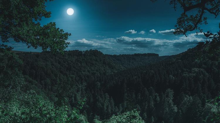 Β.Αποστόλου: Οι δασικοί χάρτες καταποντίζονται στη μυλόπετρα της χρονικής αδράνειας