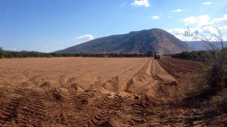 Λιβανός: Τις επόμενες ημέρες θα ληφθούν αποφάσεις για αγροτικές επιδοτήσεις
