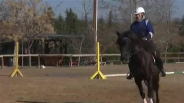 Πως γίνονται οι προπονήσεις στους ιππικούς ομίλους