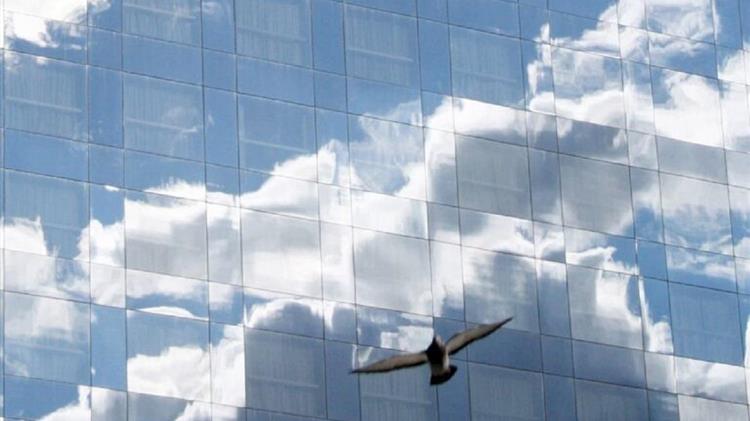 Αυξάνονται διαρκώς στην Ελλάδα και σ όλο τον κόσμο οι θανατώσεις πουλιών από προσκρούσεις σε γυάλινα κτίρια