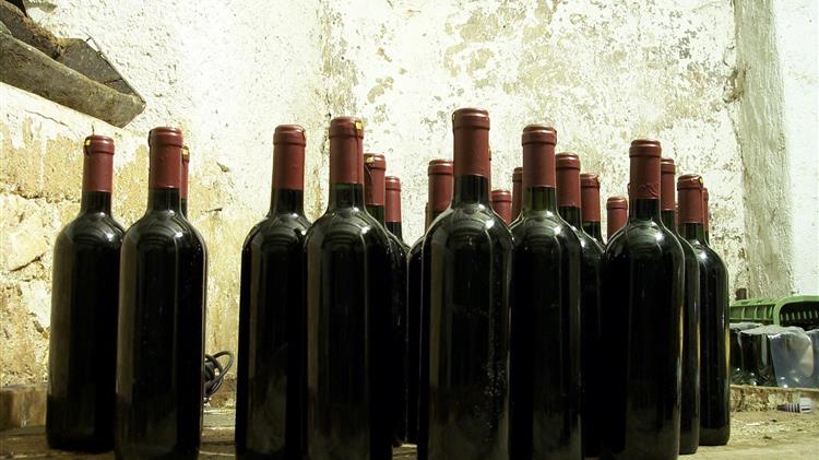 Σήμα κινδύνου για τον ελληνικό αμπελώνα