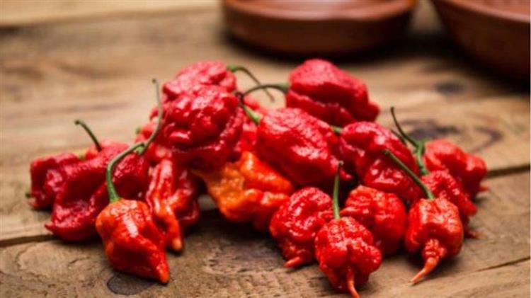 Καυτερές πιπεριές: Ίσως προσφέρουν σημαντικά οφέλη στην υγεία