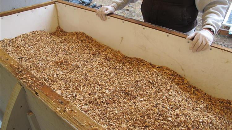 Τι είναι η «ανθρώπινη κομποστοποίηση» που ξεκινά επισήμως η αμερικανική πολιτεία