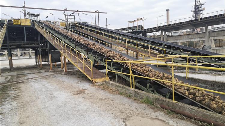 Λήψη άμεσων και ουσιαστικών μέτρων στήριξης και ενίσχυσης της τευτλοκαλλιέργειας ώστε να καταστεί εφικτή η παραγωγή Ελληνικής Ζάχαρης