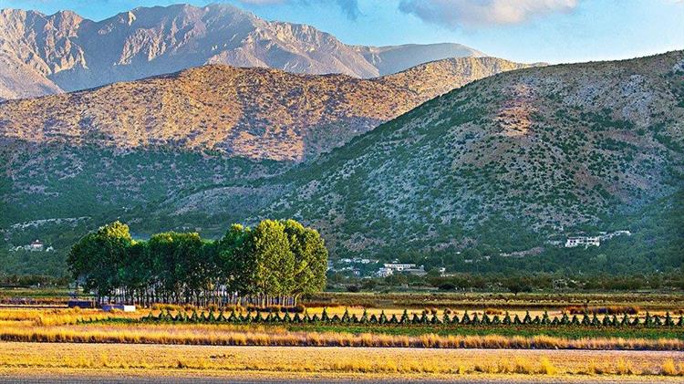 Οροπέδιο Λασιθίου: Ψηφιακή πλατφόρμα για τα αγροτικά και κτηνοτροφικά προϊόντα