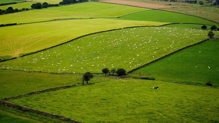 Επένδυση στον πρωτογενή τομέα: 895.000 ευρώ για αναδασμό στον Έβρο