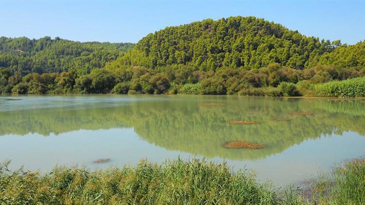 «Φούσκωσε» ο Πηνειός