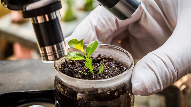 Όσα ξέρουμε για τους βιοδιεγέρτες μέχρι σήμερα