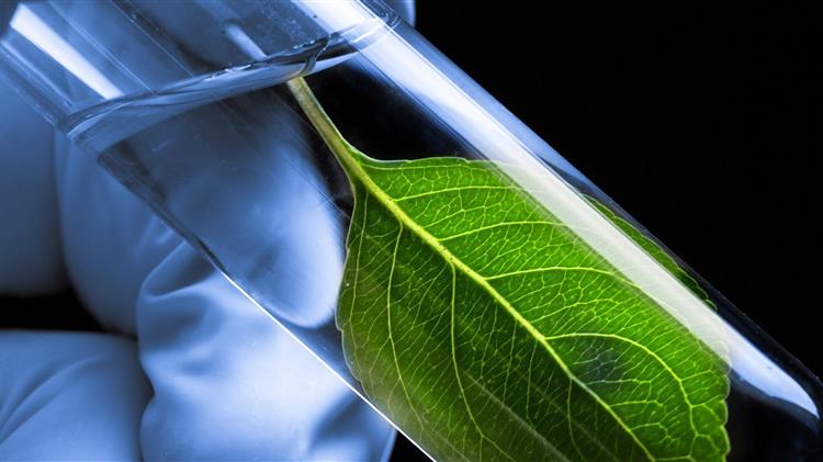 Γιατί να κάνω ανάλυση εδάφους και φύλλων (Μέρος 2ο)