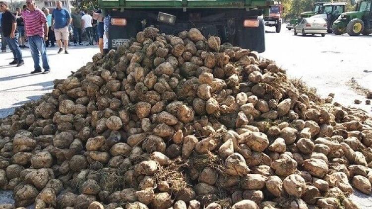 Τευτλοπαραγωγοί: Προσβλέπουν σε συνάντηση με τον πρωθυπουργό στην Καρδίτσα - Τι θα ζητήσουν