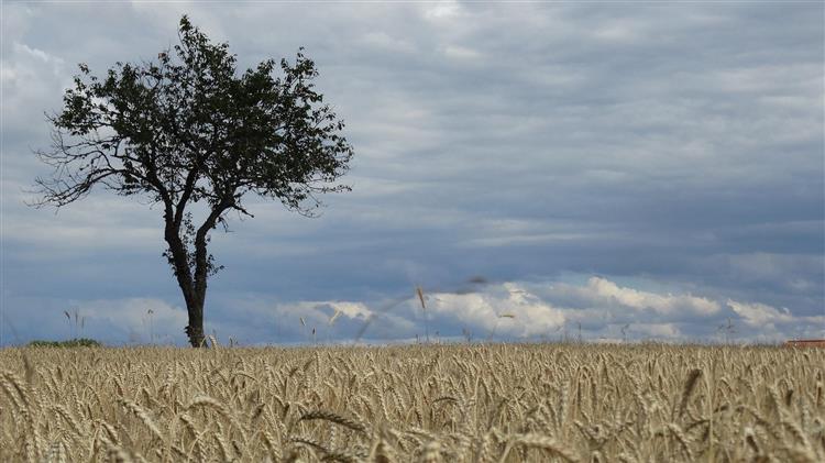 DW: Πιθανή επισιτιστική κρίση λόγω πολέμου - Το φθινόπωρο τα πιο δύσκολα