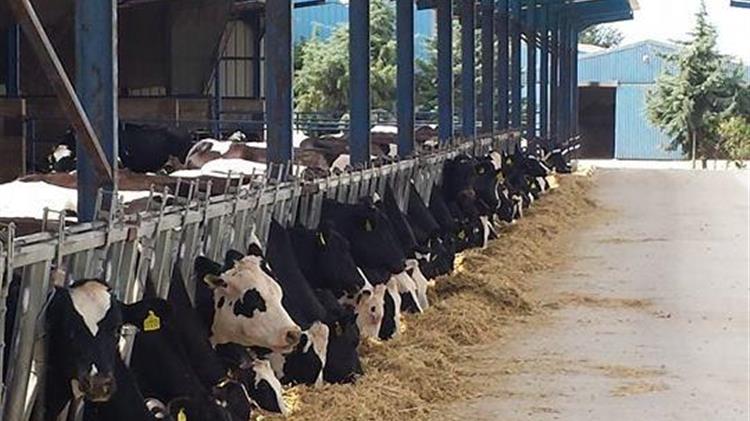 ΕΦΧΕ: Ελέγξτε τις ελληνοποιήσεις