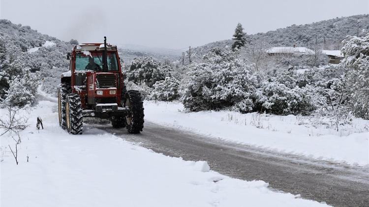 Η επέλαση του χιονιά στην Ελλάδα έβαλε στον πάγο τον αγροτικό τομέα