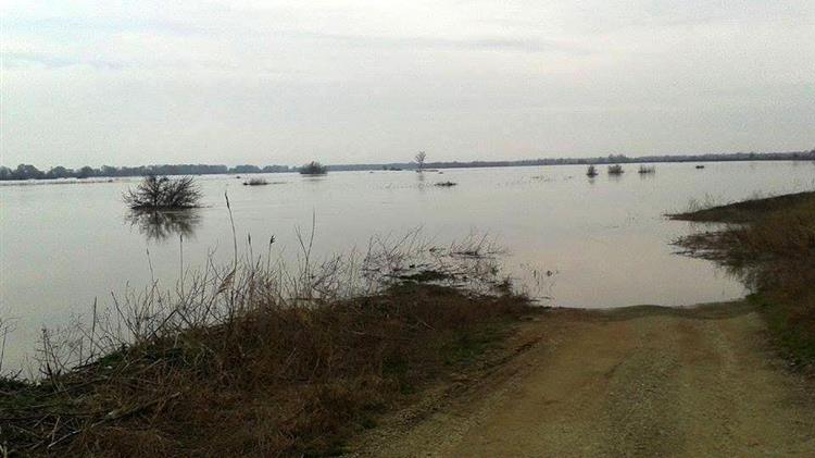 Έβρος: Συστάσεις ενόψει της επέλασης της «Μήδειας» - Τρίτο χτύπημα του καιρού από τις αρχές του έτους, σε απόγνωση οι αγρότες