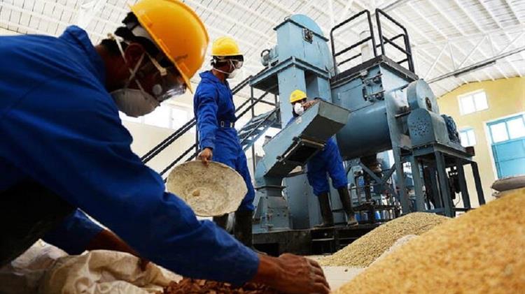 FAO’s Investment Centre doubles down on efforts to create more robust and sustainable agri-food systems