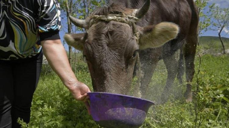 Food prices rise sharply in January