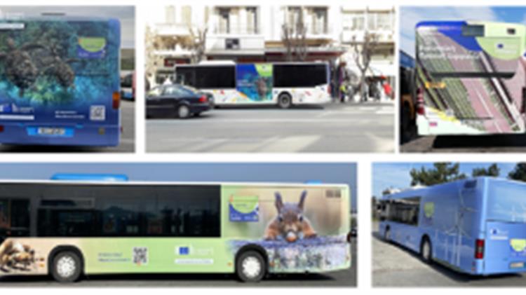 Η «Ευρωπαϊκή Πράσινη Συμφωνία» στην Θεσσαλονίκη και το Ηράκλειο Κρήτης