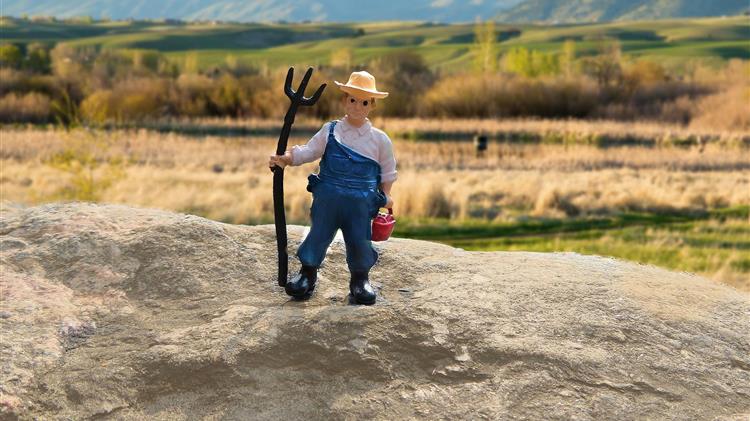 Συμβολαιακή γεωργία: Σε λειτουργία η εφαρμογή στο myBusinessSupport