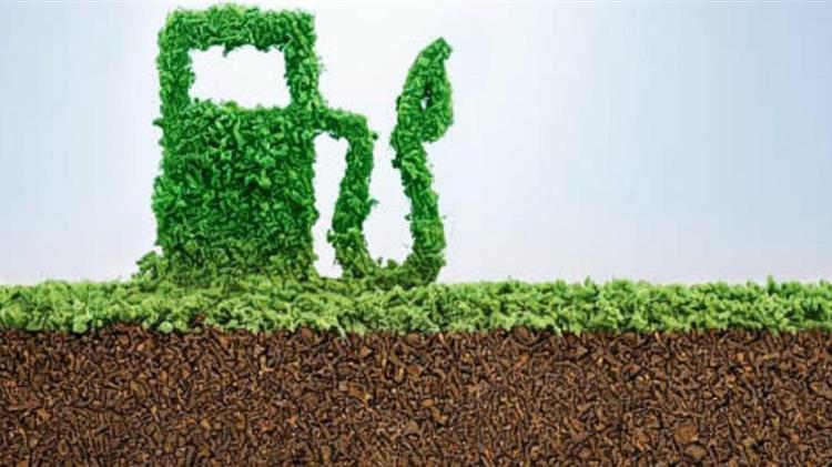 Στασινός: Η χώρα να κάνει περισσότερα για την ενεργειακή μετάβαση σε πράσινα καύσιμα