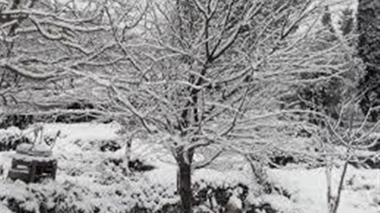 Συσκέψεις για τον καθορισμό της διαδικασίας αντιμετώπισης των ζημιών από το ακραίο καιρικό φαινόμενο «Μήδεια»