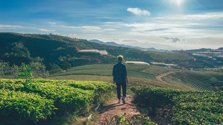 Δανία: Εκτροφή εντόμων για την παραγωγή ζωοτροφών