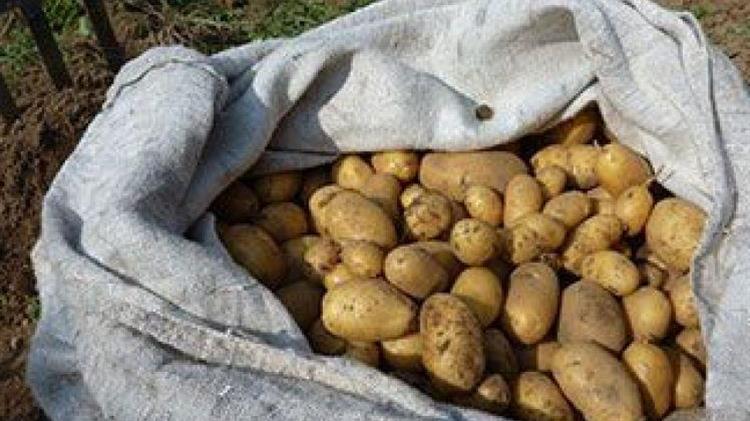 Οι ελληνοποιήσεις «χτύπησαν» και την πατάτα – Συνάντηση Γεωργαντά-Νίκα στις 23 Μαρτίου