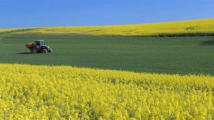 ΕΦΚΑ: Εν μέσω πανδημίας καλούνται οι αγρότες να βάλουν το χέρι στην τσέπη!