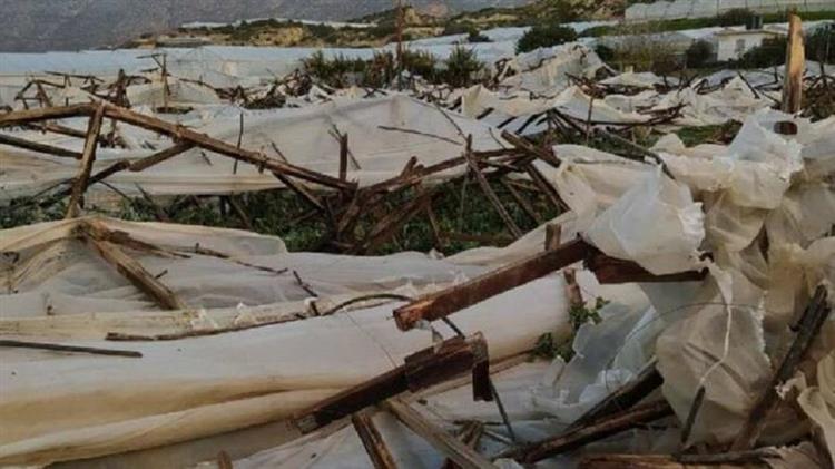 Η «Μήδεια» ισοπέδωσε θερμοκήπια