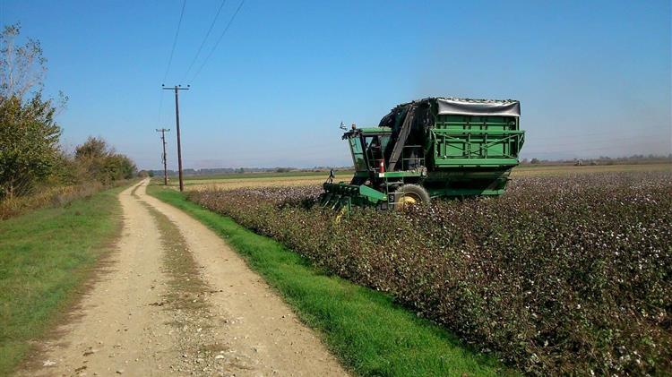 Συνδεδεμένες ενισχύσεις: Το απόγευμα η καταβολή των ενισχύσεων