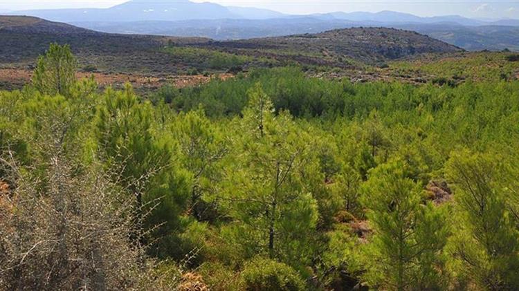 Στον προθάλαμο των Γεωπάρκων της UNESCO η περιοχή Γρεβενών – Κοζάνης