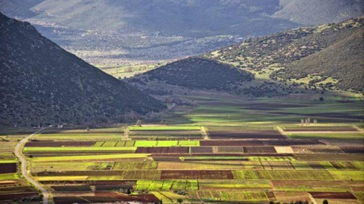 ΟΠΕΚΕΠΕ: Για το monitoring στο πλαίσιο της ΕΑΕ 2022