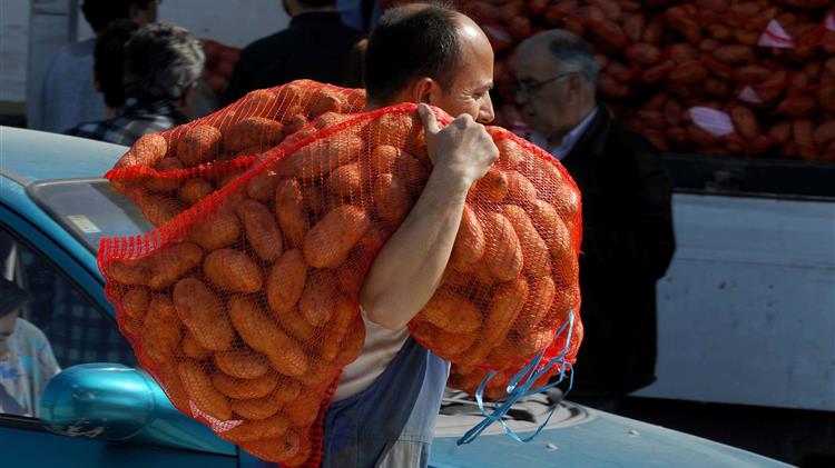 Σέρρες: Αδιάθετοι χιλιάδες τόνοι πατάτας στις αποθήκες