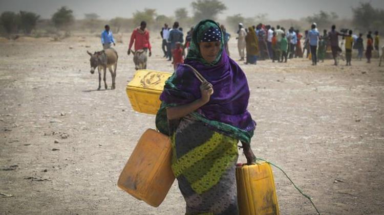 Disasters take heavy toll on agri-food systems as new threats emerge