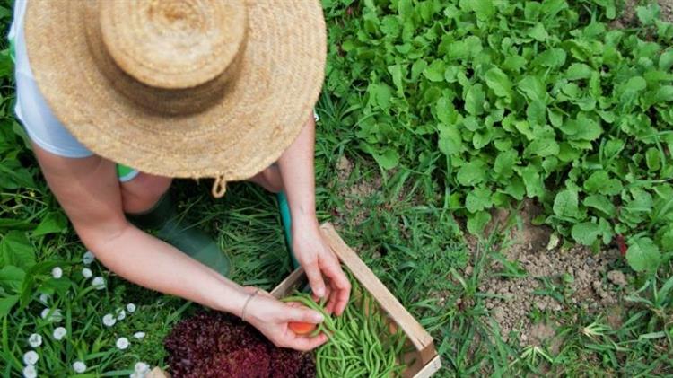 Ιωάννινα: Εκδήλωση για την Παγκόσμια Ημέρα Αγρότισσας